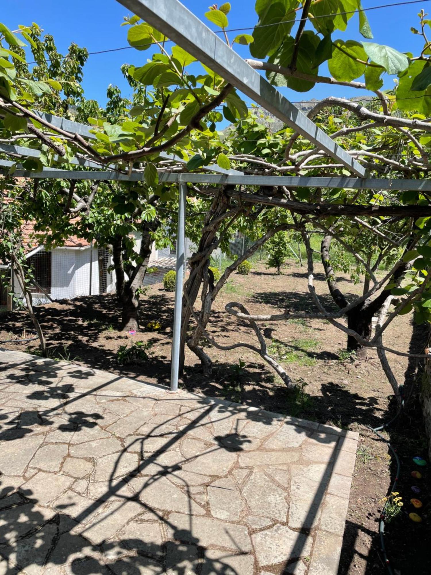 Lila'S Guest House Mikros Prinos Dış mekan fotoğraf
